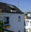 Jetzt stehen 3 Nistk&auml;sten mit 11 Nisth&ouml;hlen bereit.