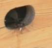 Hier will ich wohnen! Foto K. Roggel