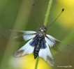 Entdeckungen in der Natur S&uuml;deuropas Teil 1