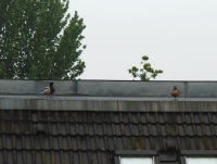 Ein Beziehungsgespr&auml;ch kommt heute wohl nicht mehr zustande.