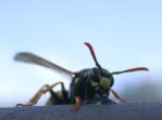 Der Wassertropfen verteilt sich auf dem Gel&auml;nder.